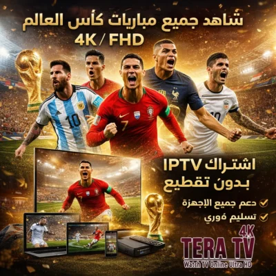 اشتراك سيرفر تيرا TERA 4K لمدة 12 شهر